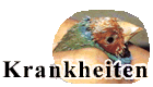 Krankheiten